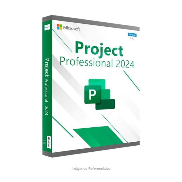 Project 2024 Professional 1PC [BIND]